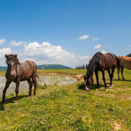 別荘 Pool & Wellness Sunshine - Happy Vransko