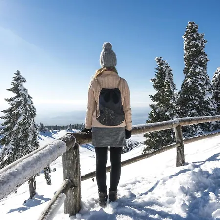 Pool & Wellness Sunshine - Happy *