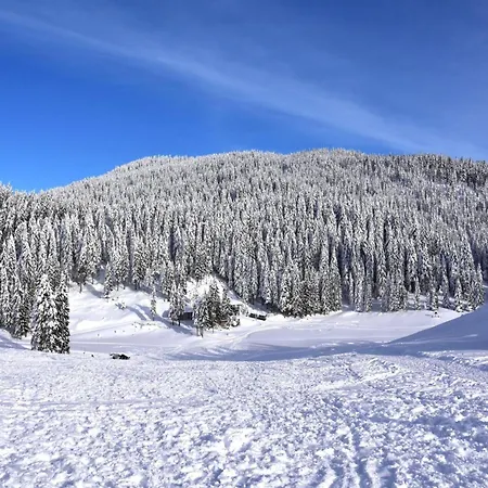 別荘 Pool & Wellness Sunshine - Happy *