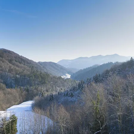 Pool & Wellness Sunshine - Happy * Vransko