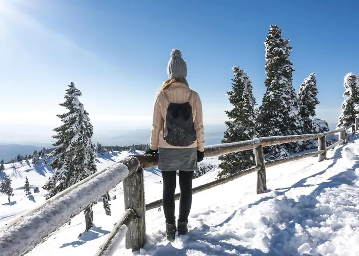 Pool & Wellness Sunshine - Happy *