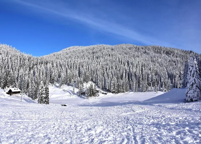 Casa de Férias Pool & Wellness Sunshine - Happy *