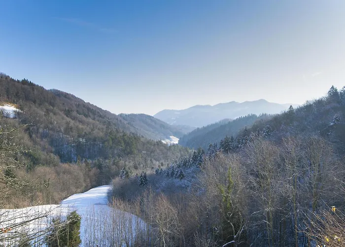 Pool & Wellness Sunshine - Happy * Vransko